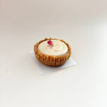 Load image into Gallery viewer, Raw Lemon Cheesecake Box x Dr. Erica Grenci, ND (GF, DF, V)